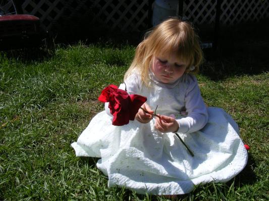Sarah holds mommy's rose.