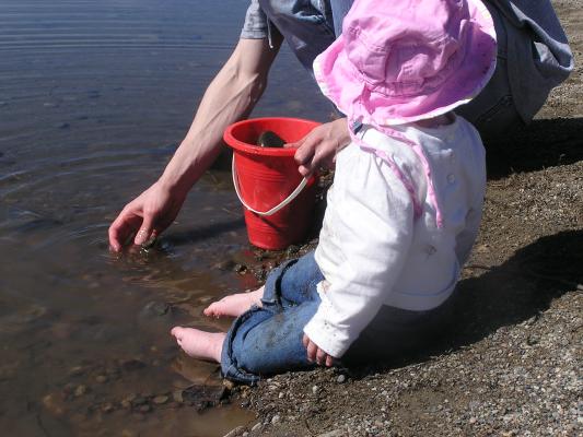 David, Noah and Sarah put rocks in a bucket.