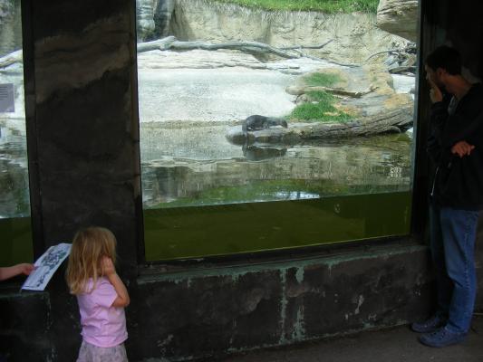 Sarah and David by the otters.