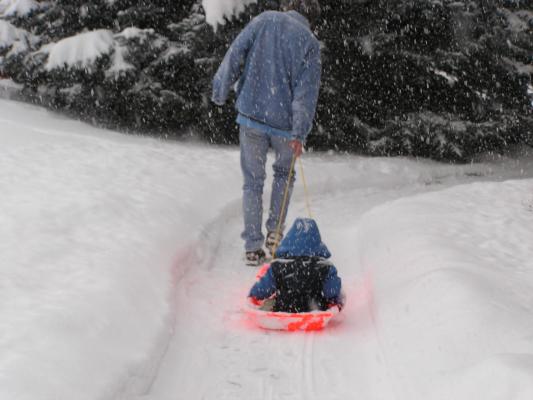 David pulls Noah in the sled.