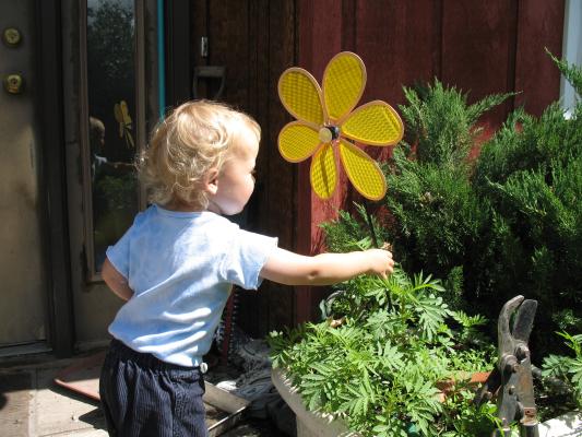 Noah plays in grandma's flower pots.
