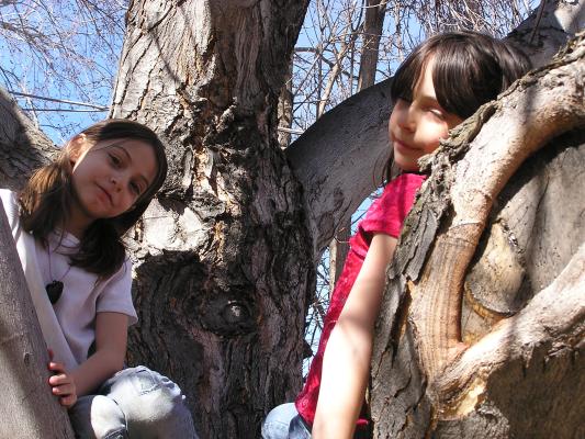 Andrea and Malia climb a tree.