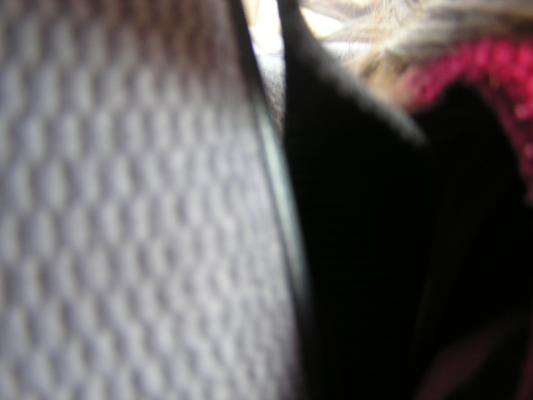 Hmmmm, who took this picture?