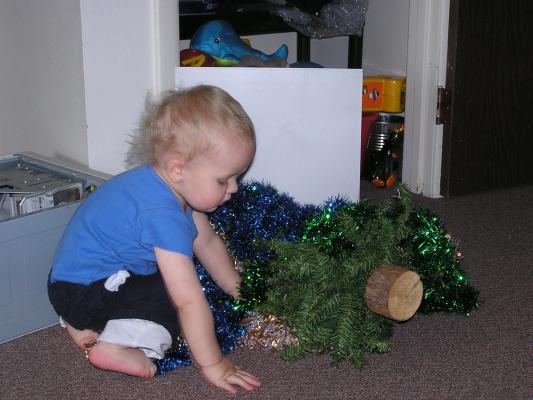 Let's put some tinsel on the tree.
