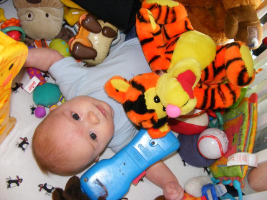 Noah got all the baby toys for Joshua to play with.