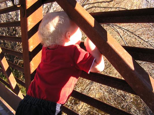Noah looks out towards the stream from a bridge.