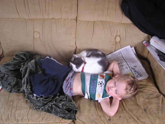 Noah being nice to the kitty and the kitty being nice to Noah.