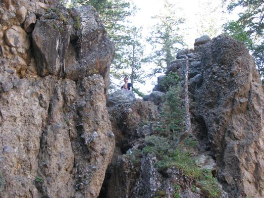 David and Noah hiked pretty high