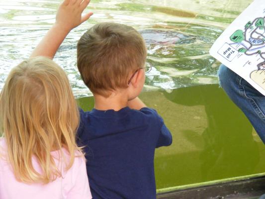 Sarah and Noah watch for otters.