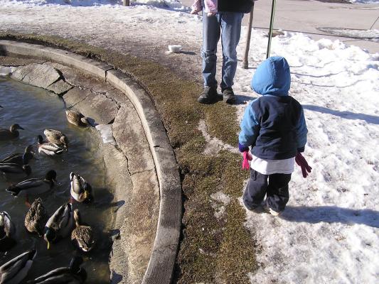 Noah at the duck pond.