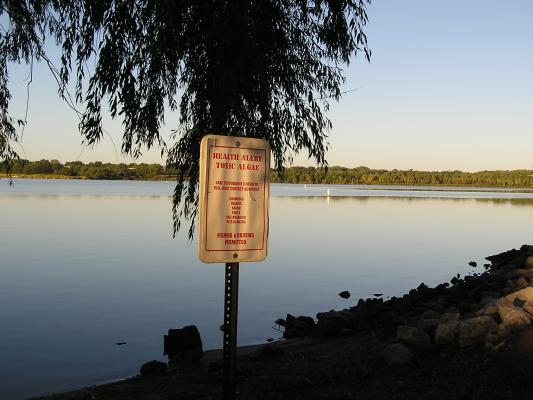 Health Alert Toxic Algae
Lake Temporarily Closed to Full-Body Contact Activities
Swimming, Wading, Skiing, PWC's Sail Boarding, Pets in Water.
Fishing & Boating Permitted.