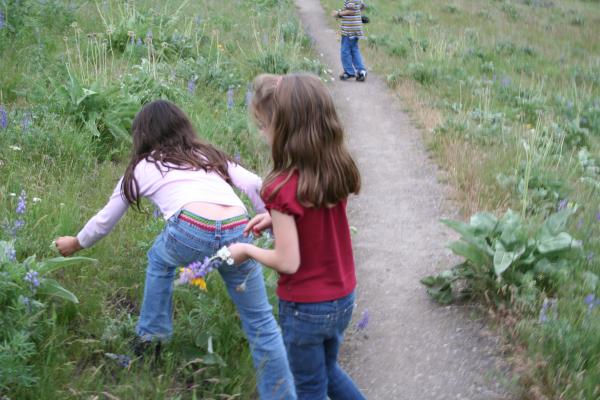 The girls pick wild flowers.