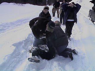 Dog pile!