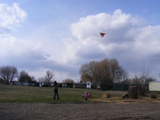 David with the kite