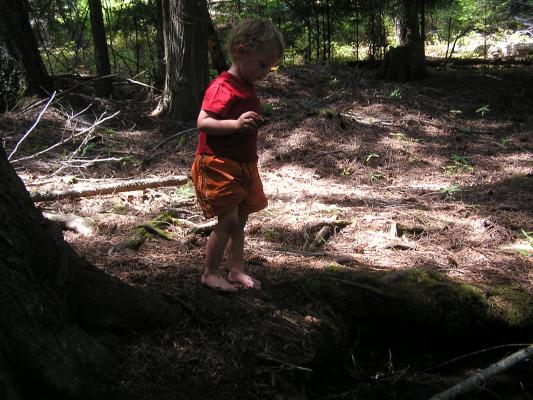 Noah plays by little creek during the Eder Family Campout