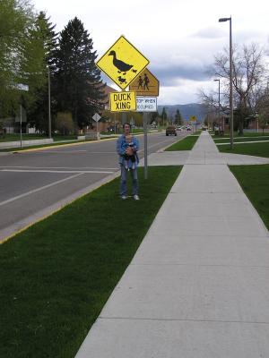 Duck Xing
