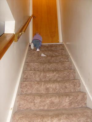 Sarah climbed to the top of the stairs