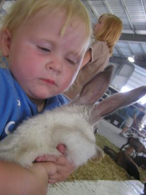 Sarah has a bunny