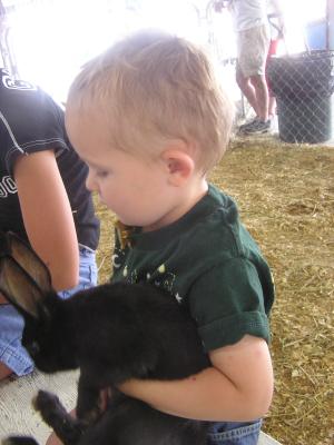 Noah and a bunny