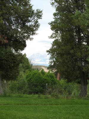 National Bison Range picnic area.