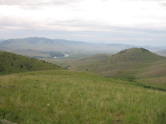 View from the Bison Range loop.