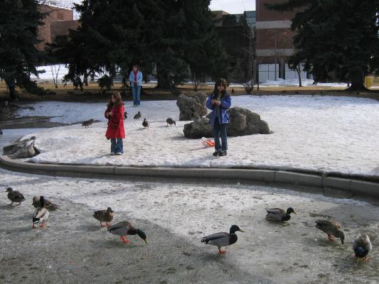 Andrea and Malia at the duck pond.