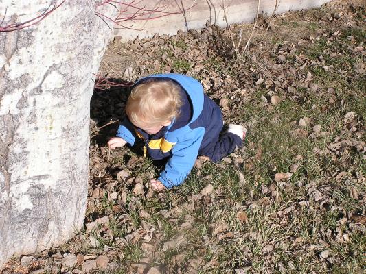 Noah plays with the leaves in our yard.