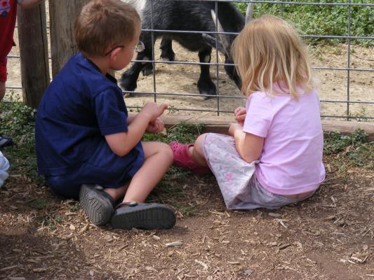 Noah and Sarah with the goats.