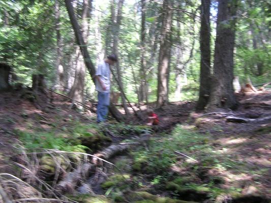 David and Noah play by a creek.