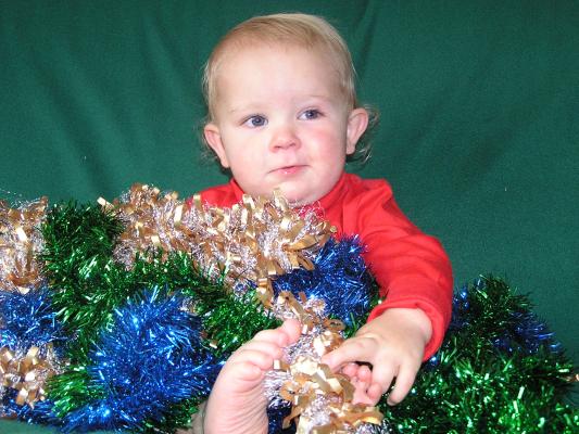 Noah and tinsel.