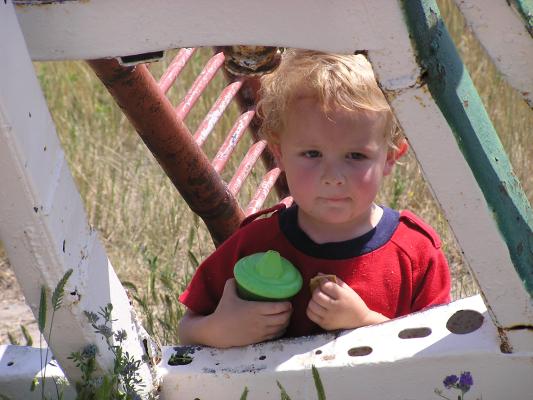 Noah at Carhenge fish