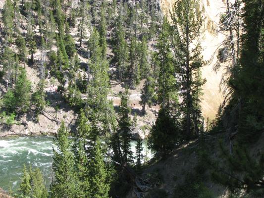 River in yellowstone