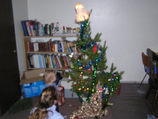 We put an angel on top of the tree.