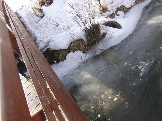 There's some of the ice that landed on the ice.