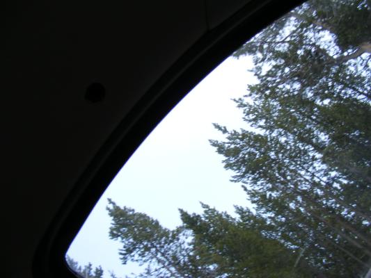 Noah's view of yellowstone.