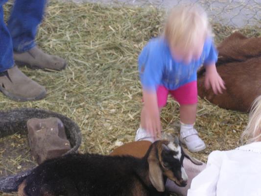 Sarah petting a goat