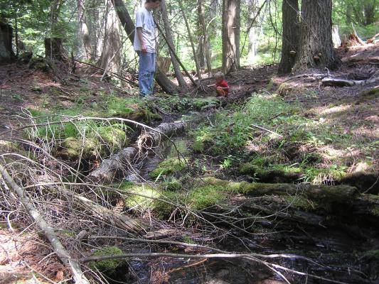 David and Noah play in a creek.