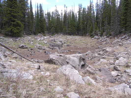 Lots of rocks.