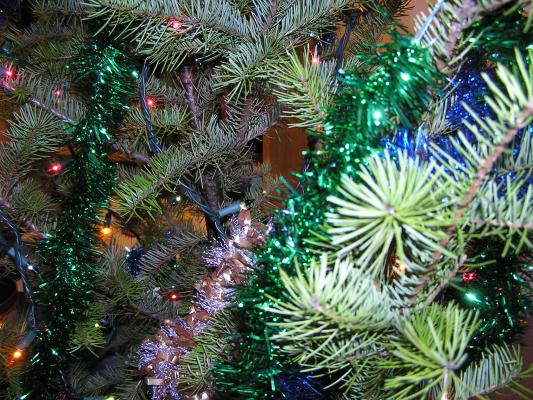 A detailed look at our Christmas tree.