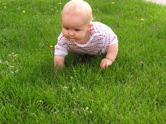 Noah goes grazing.