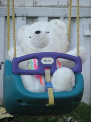 Bear in a swing. 