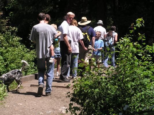 GVCC hikes down the trail to see Pine Creek Falls.