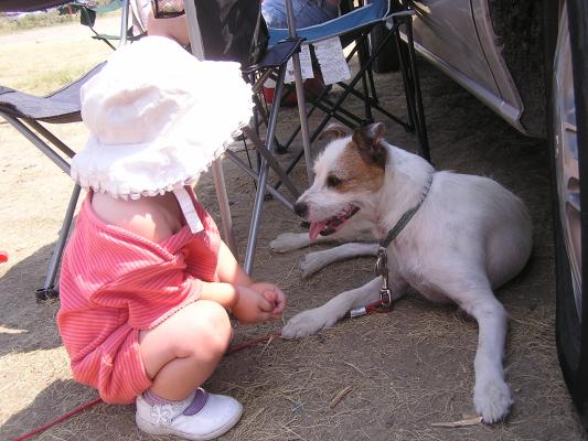 Sarah meets Katie, the dog.