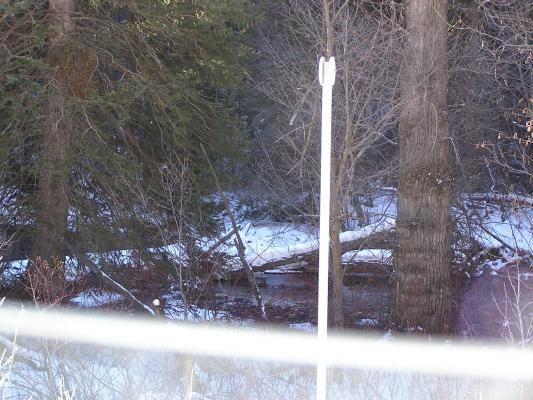There's a moose in there somewhere.