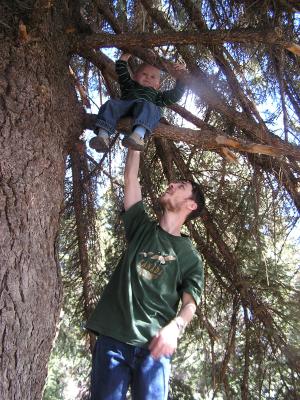 David holds Noah in the tree.