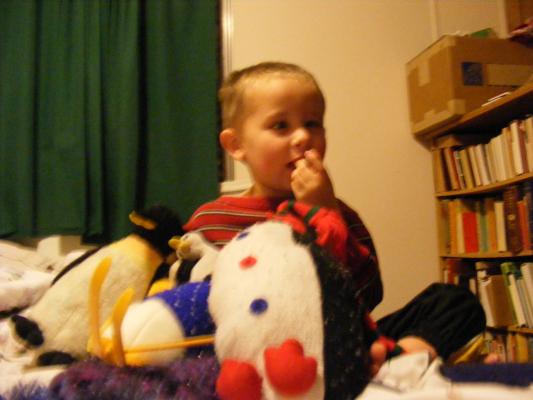Noah with penguins