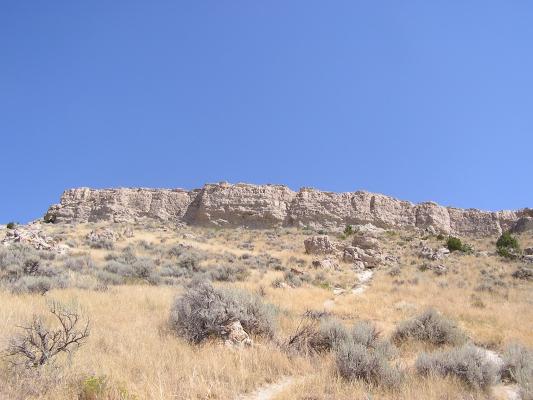 Where the buffalo jumped.