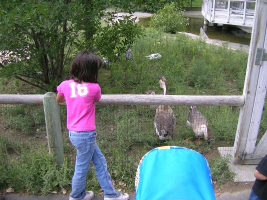 Malia Zoo Montana 2006