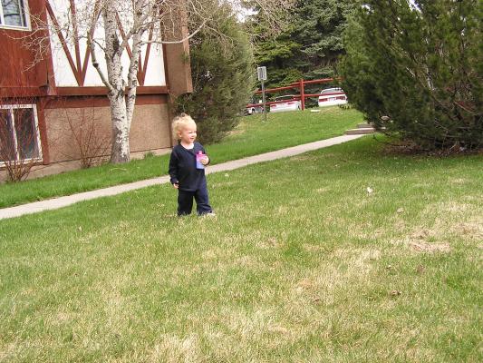 Noah is looking for Easter eggs.
