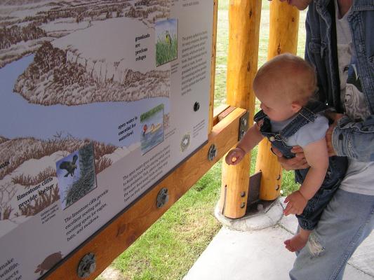 Noah can push the button